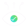 Vision